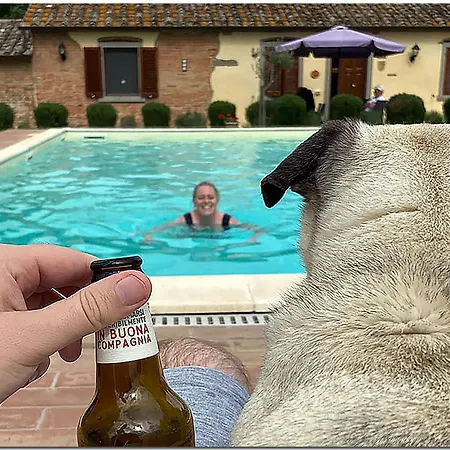Ebenerdiges Mit Garten Und Pool Holiday home Cortona